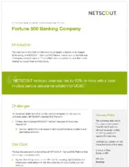 Preview of the Fortune 500 Banking Company Case Study