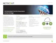 Preview of the Large American Carrier Service Provider Case Study