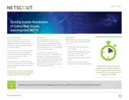 Preview of the Large North American Carrier Company Case Study