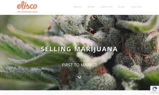 Preview of the Solevo Wellness Case Study