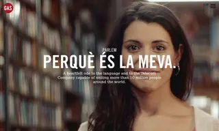 Preview of the Parlem Case Study