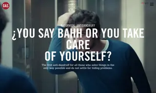 Preview of the Naturvital Case Study