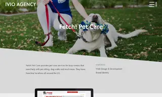 Preview of the Fetch! Pet Care Case Study