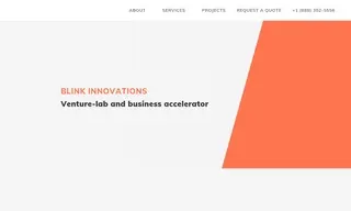 Preview of the BLINK INNOVATIONS Case Study