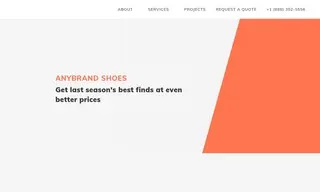 Preview of the ANYBRAND SHOES Case Study