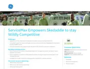 Preview of the Skedaddle Humane Wildlife Control Case Study