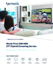 Preview of the Japanese Broadcaster Case Study