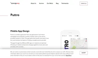 Preview of the Puttro Case Study