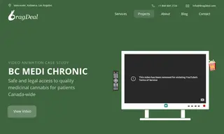 Preview of the BC Medi Chronic Case Study