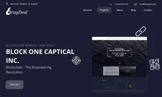 Preview of the Block One Capital Case Study