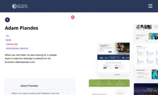 Preview of the Adam Piandes Case Study