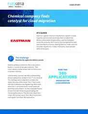 Preview of the Eastman Case Study