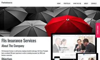 Preview of the Flis Insurance Services Case Study