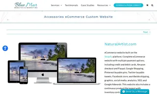 Preview of the Natural Artist Case Study