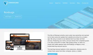 Preview of the Roxbugs Case Study