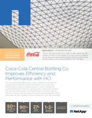 Preview of the Coca-Cola Case Study