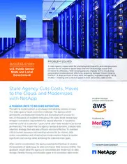 Preview of the State Agency Case Study