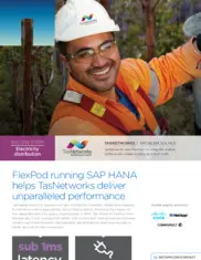 Preview of the TasNetworks Case Study