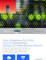 Preview of the Vality Case Study