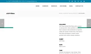 Preview of the AVP Films Case Study