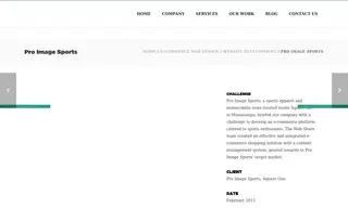 Preview of the Pro Image Sports Case Study