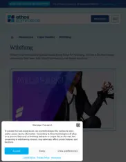 Preview of the Wildfang Case Study