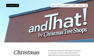 Preview of the Christmas Tree Shops Case Study