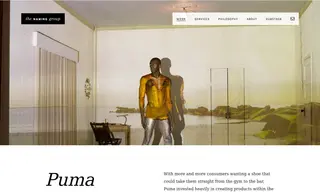 Preview of the Puma Case Study