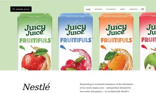 Preview of the Nestlé Case Study