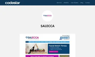 Preview of the Salecca Case Study