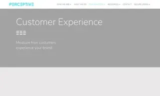 Preview of the Ray White Case Study