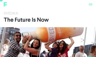 Preview of the Svedka Case Study