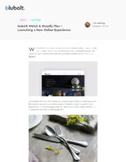Preview of the Robert Welch Case Study