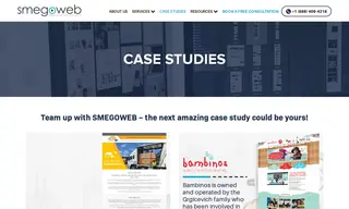 Preview of the Rabin Painting Services Case Study