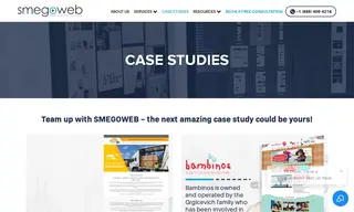 Preview of the Darwin Cellular Case Study