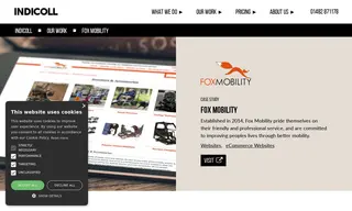 Preview of the Fox Mobility Case Study