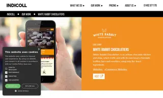Preview of the White Rabbit Chocolatiers Case Study