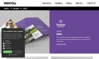 Preview of the Humberside Scouts Case Study