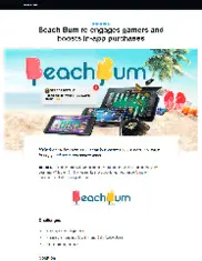Preview of the Beach Bum Case Study