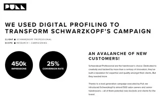 Preview of the Schwarzkopf Professional Case Study