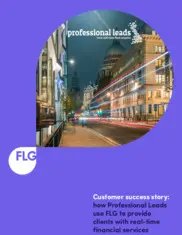 Preview of the Professional Leads Case Study