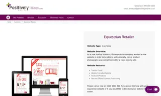 Preview of the Equestrian Retailer Case Study