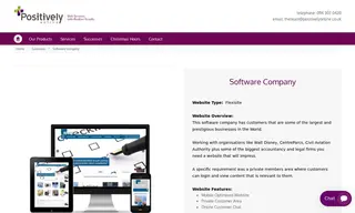 Preview of the Software Company Case Study