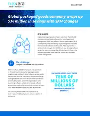 Preview of the Global Packaged Goods Company Case Study