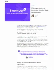 Preview of the BloomJoy Case Study