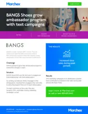 Preview of the BANGS Case Study
