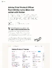 Preview of the Adobe Case Study