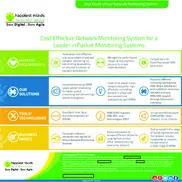 Preview of the Packet Monitoring Systems Leading Company Case Study