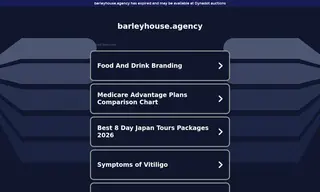 Preview of the Black Lion Case Study