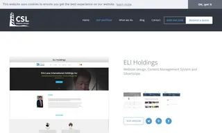 Preview of the ELI Holdings Case Study